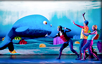 Ballenas, historias de gigantes